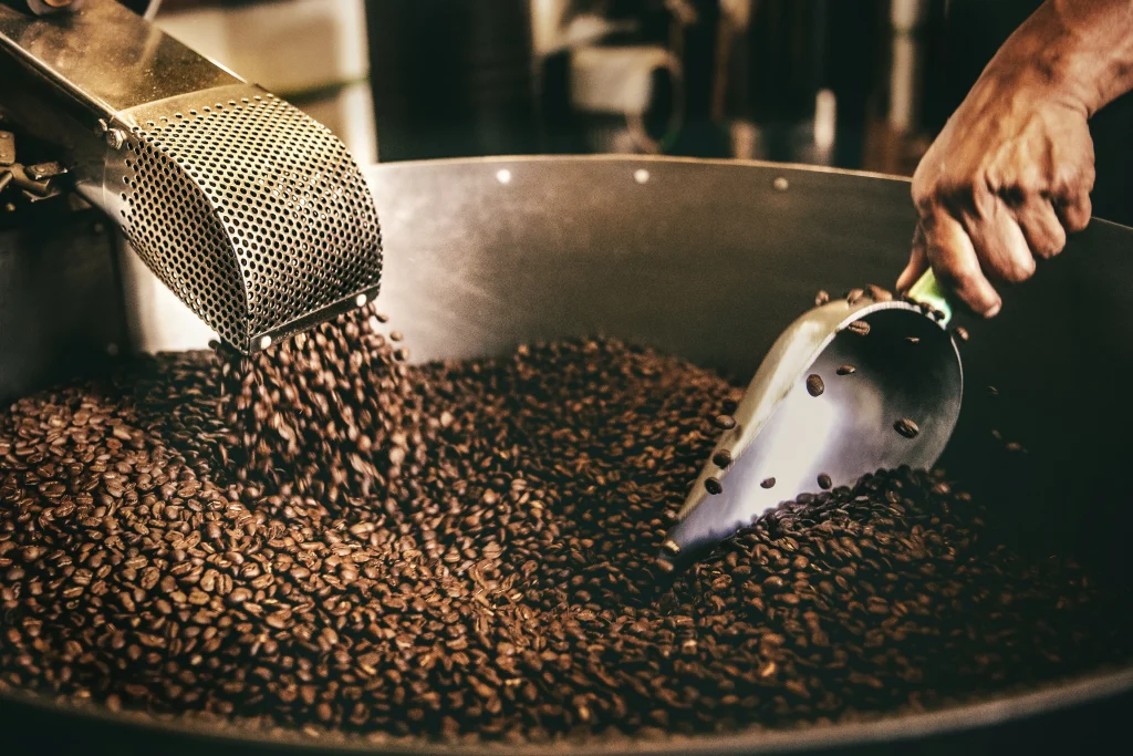 Grains de café torréfiés versés dans un brûloir